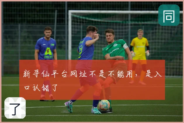 新寻仙平台网址不是不能用，是入口认错了